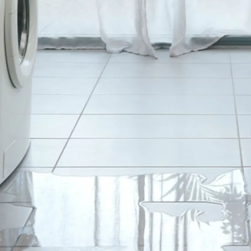 Appliance Leak Cleanup in Teutopolis, IL