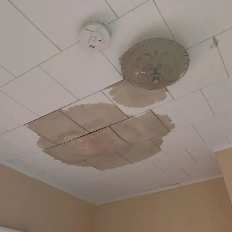 Ceiling Water Damage Repair in Teutopolis, IL