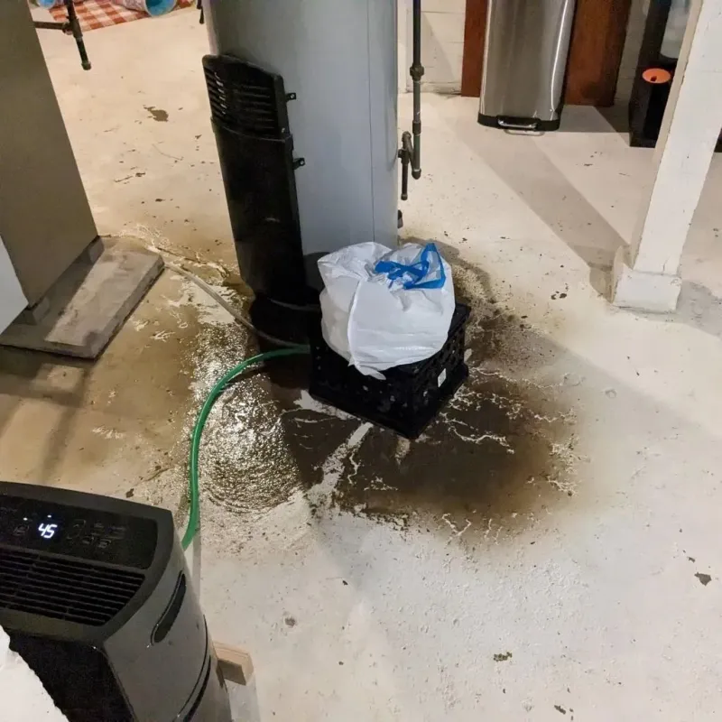 Sewage Backup Cleanup Service in Teutopolis, IL